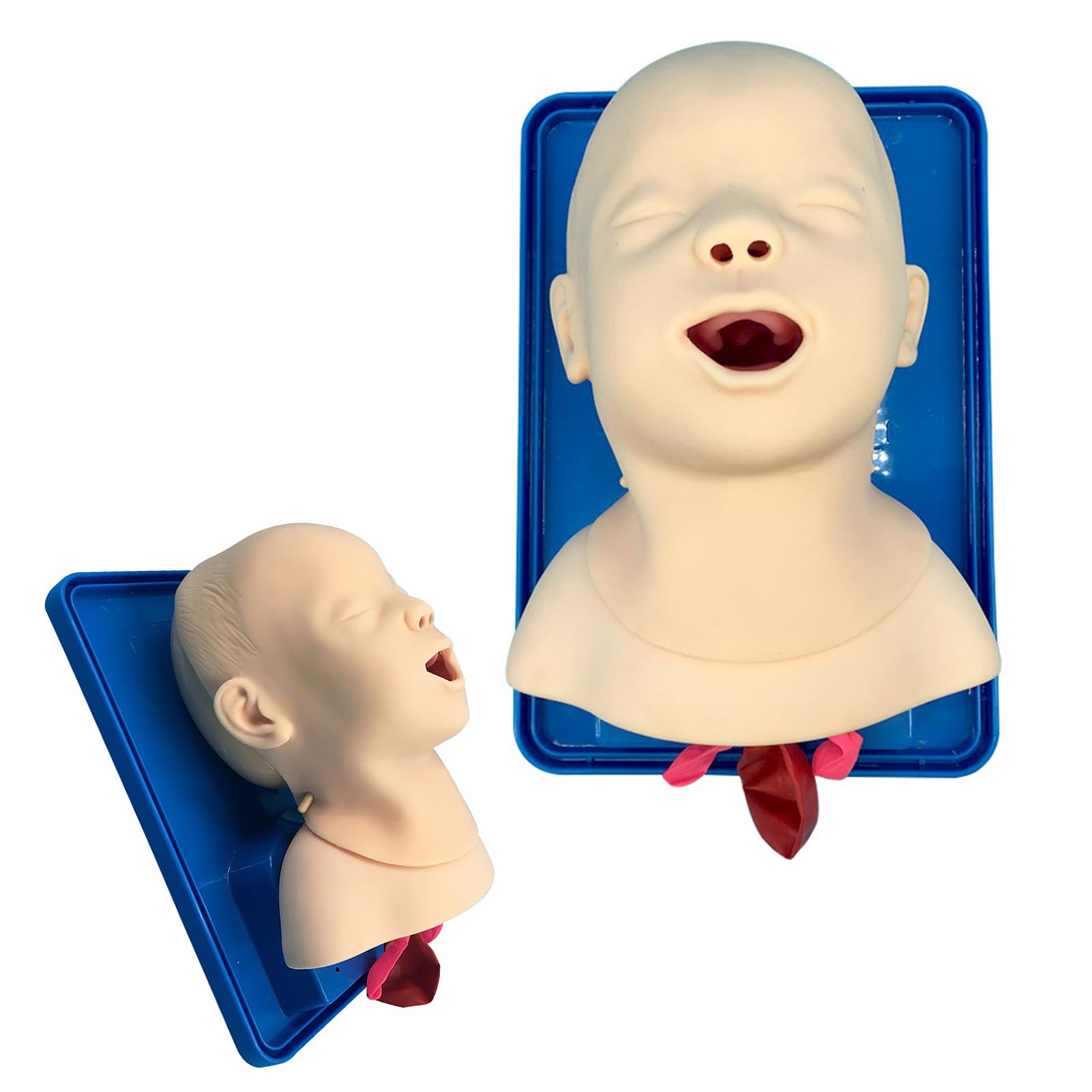 Amazon.co.jp: HZFAIGLL 喉頭蓋声帯付き乳児気管挿管マネキン
